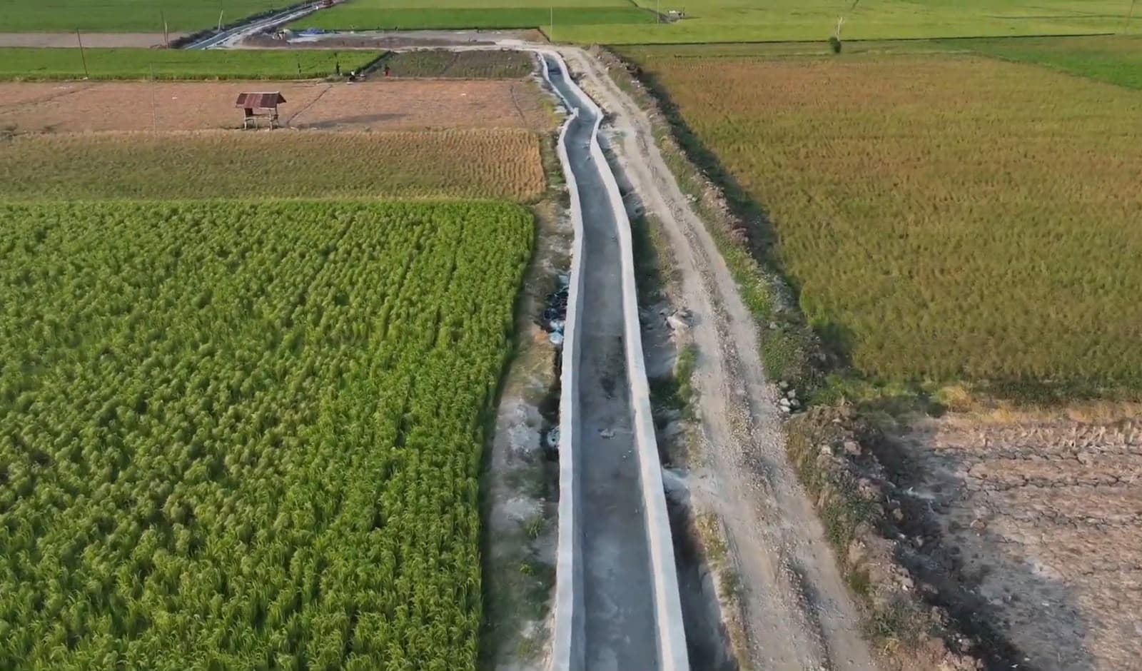 Irigasi Bilokka Capai 73,36%, Gubernur Andi Sudirman Targetkan Petani Sidrap Bisa Tiga Kali Tanam